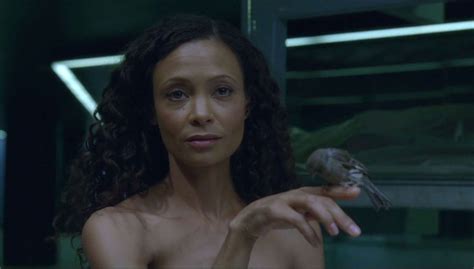 thandiwe newton nackt|Thandie Newton Breasts, Butt Scene in Westworld